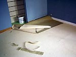 Photo no 010