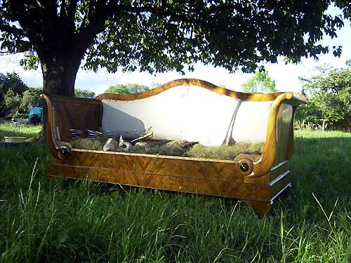 Retour (page pr�c�dente)