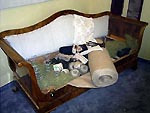 Photo no 017